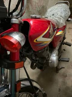 Honda 125 Red color 2019 Larkana Number