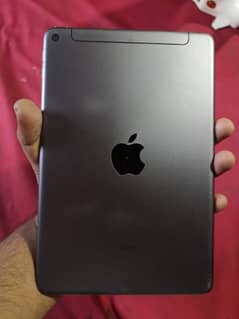 ipad mini 5 256 GB LLA Model