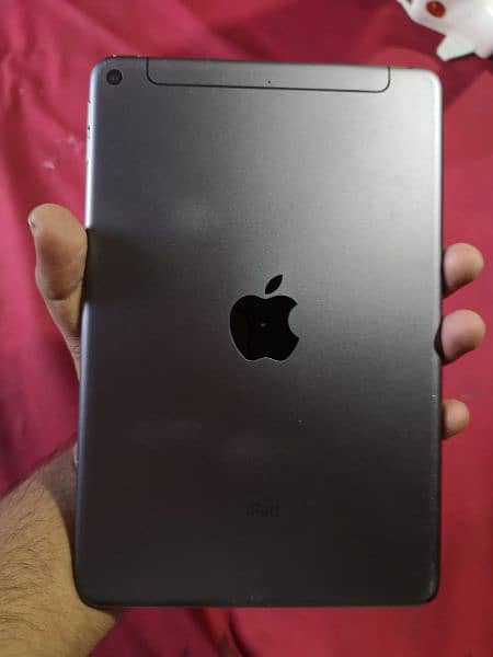 ipad mini 5 256 GB LLA Model 0