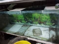 two 4ft aquariums with all accessory's