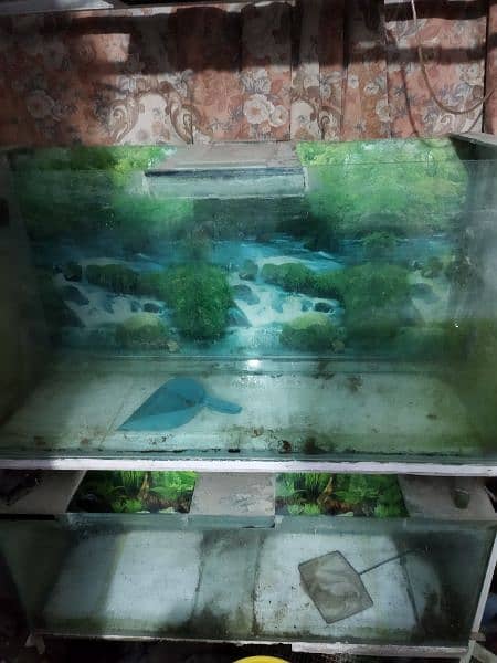 two 4ft aquariums with all accessory's 4