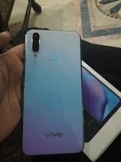 vivo