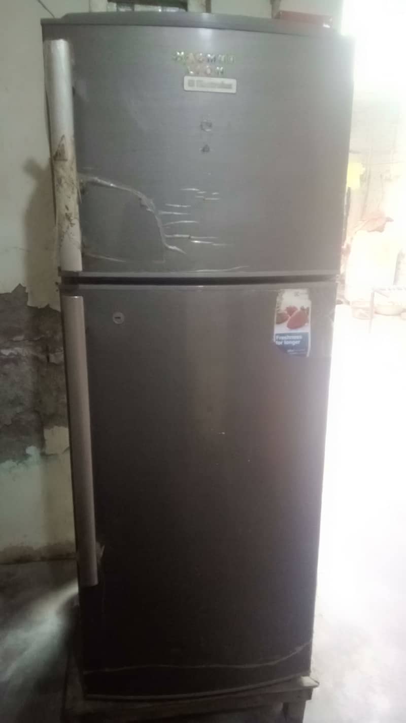 Electrolux Refrigerator 1