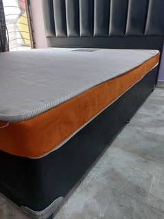 Molty Ortho Mattress