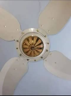 Sonex ceiling Fan