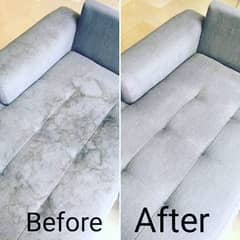 Sofa & Carpet Cleaning/Water Tank Cleaning/Deemak Spray