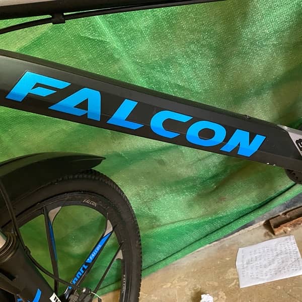 Falcon Original 1