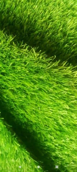 artificial grass twenty mm lush 0