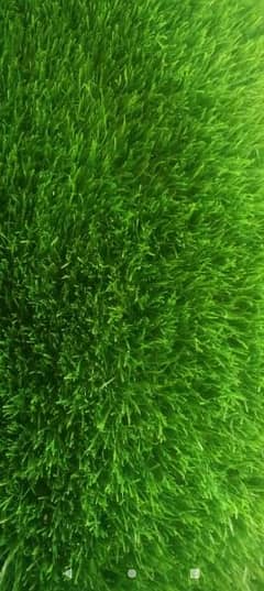 Wholesale rates artifical Grass / grass carpet / astro turf / grass