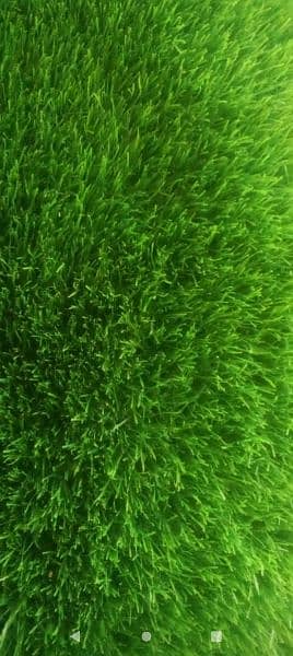 artificial grass twenty mm lush 1