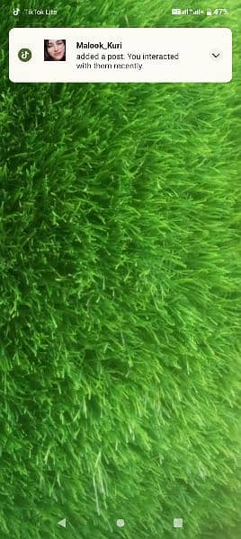 artificial grass twenty mm lush 2