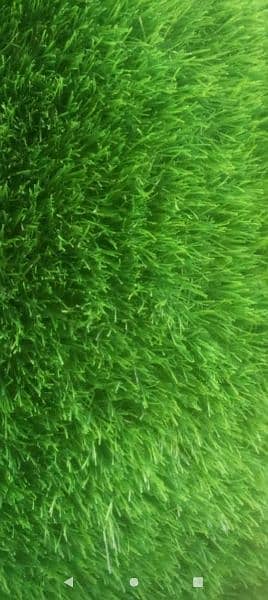 artificial grass twenty mm lush 5