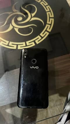 VIvo