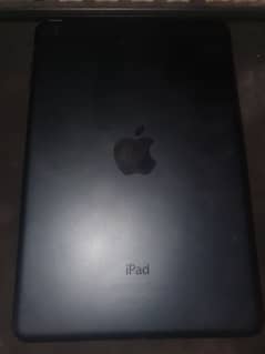 Ipad mini