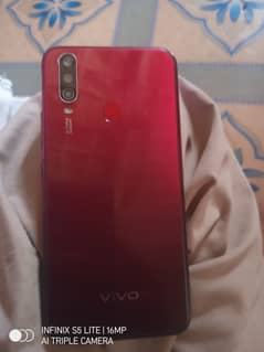 Vivo