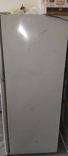 Dawlance Refrigerator + Staplizar 2