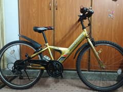 Original imported Bridgestone Bicycle For Sale 0