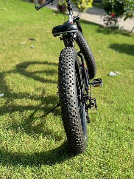 Fat Bike 5