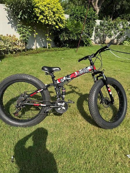 Fat Bike 11