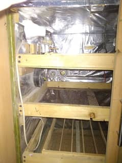 automatic incubator