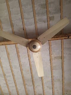 GFC Full size fan for sale