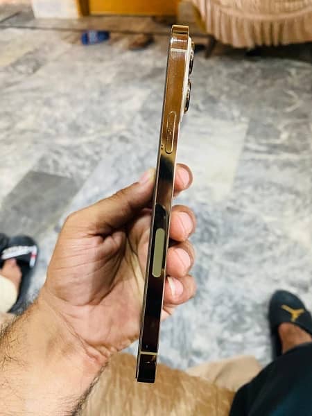 iphone 13 pro max golden 256 pta approved 4