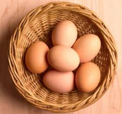 Hen eggs