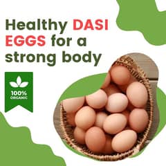 PURE DASI FERTILE EGGS