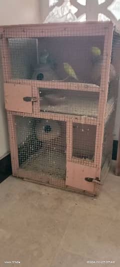 parrot cage two story with two pairs parrot