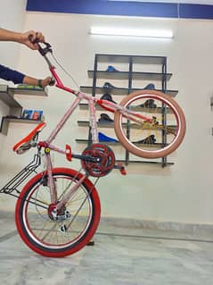 New Wheeling Bicycle 20" Size