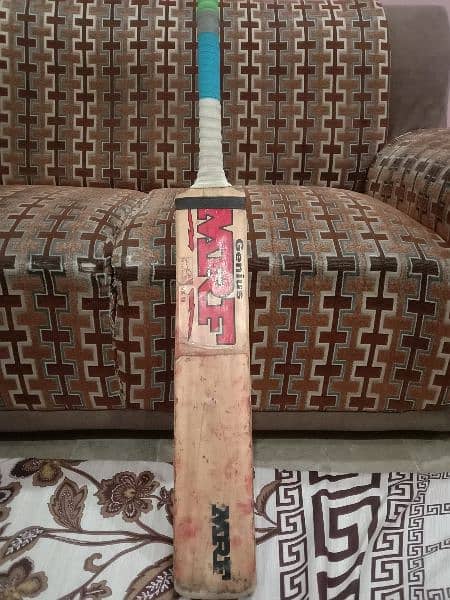 Hardball Cricket Bat English Willow 2