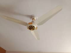 ceiling fan brand new fan 0