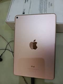 I pad mini 5 Gold 0