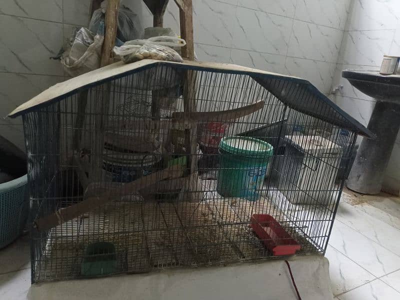 big cage for sale (urgent sale) 1