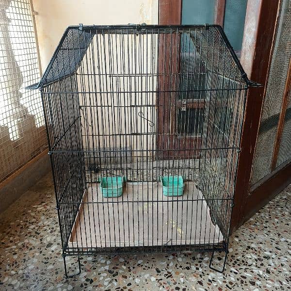 cage for porrots 3