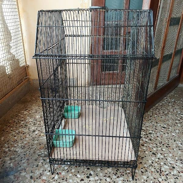 cage for porrots 4