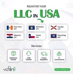 LLC USA 0