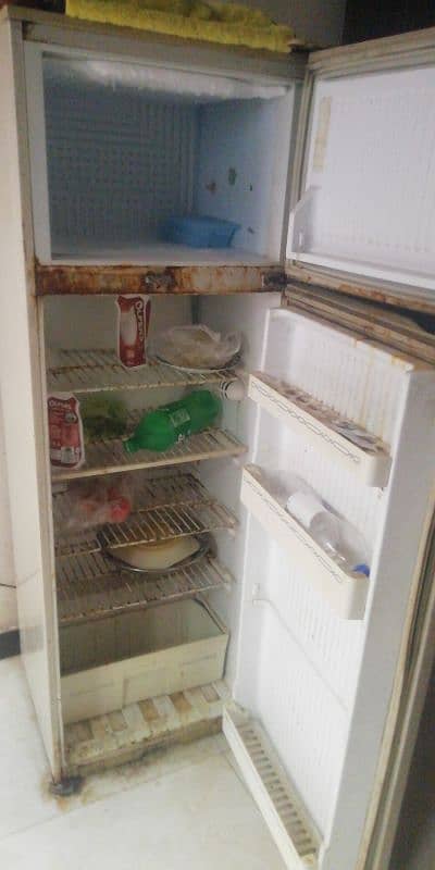 pel fridge 1