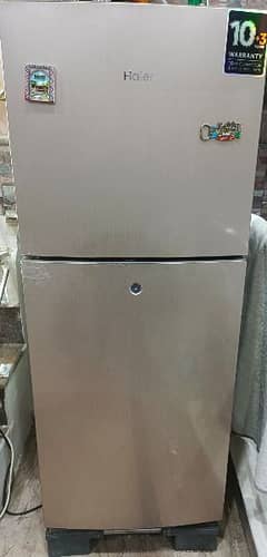 Haier Medium Fridge