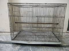 cage 2/1.5 for sale 03244536704 WhatsApp 0