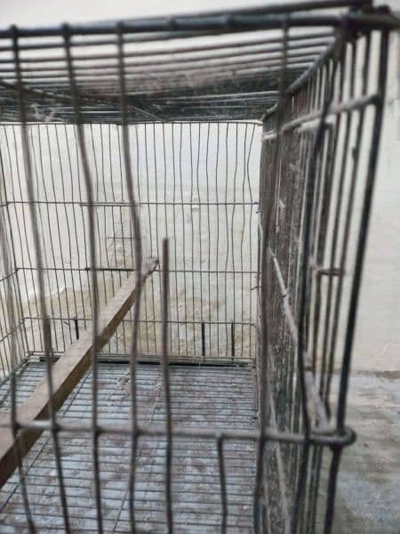 cage 2/1.5 for sale 03244536704 WhatsApp 1