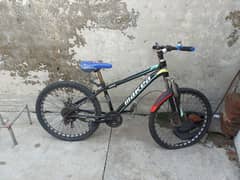 3 Adad Bicycle For Sale