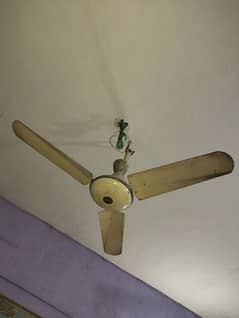 ceiling fan