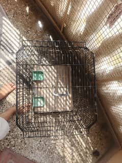 cage for parrots