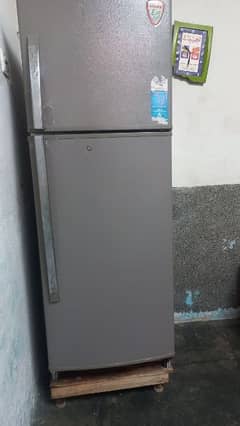 singer refrigerator