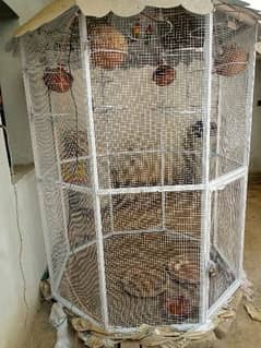 bird cage