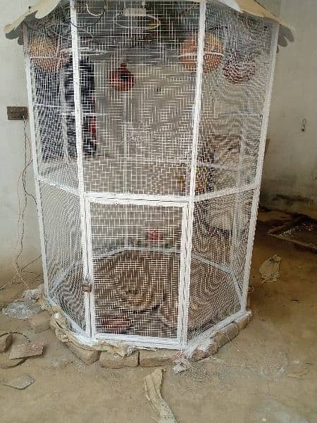 bird cage 2