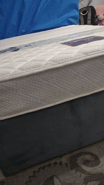 Almost New Diamond Night Therapy Mattress – 78x55, 8-inch, 1 Year Used 2