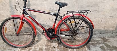 chigago bicycle