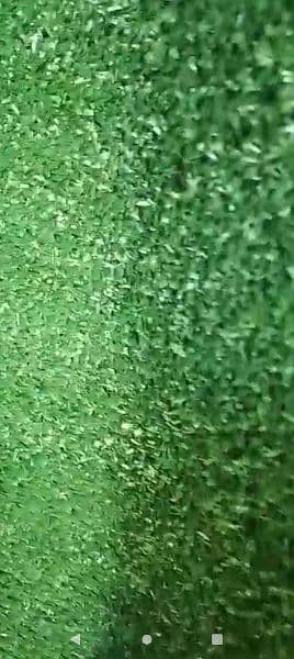 American Field Artificial Grass - Astro Turf Fake Grass - Wall outdoor 4